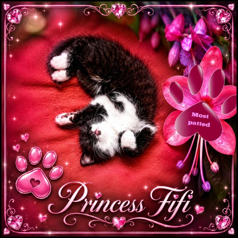 Princess Fifi of the zoza1958 family