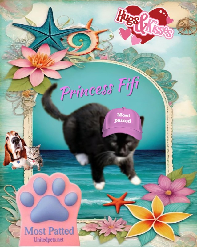 Princess Fifi of the zoza1958 family
