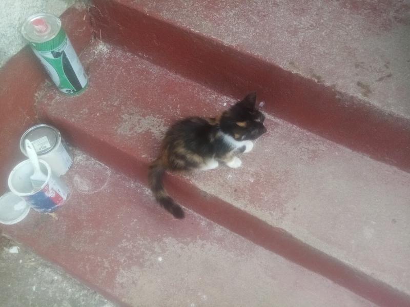 Princess Mila of the zoza1958 family