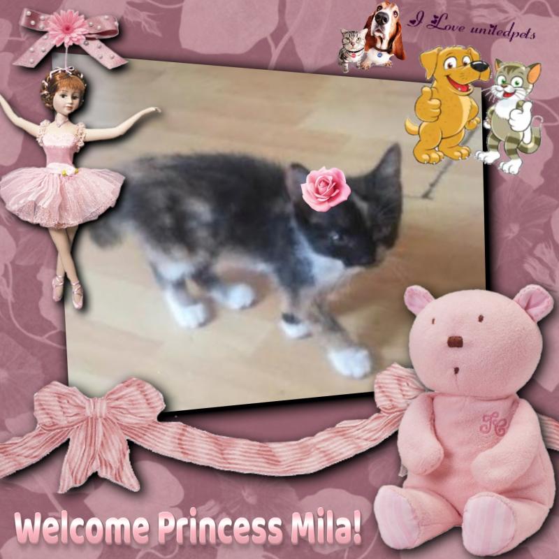 Princess Mila of the zoza1958 family
