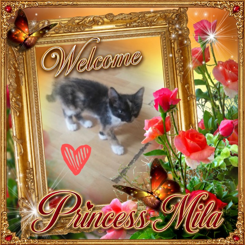 Princess Mila of the zoza1958 family