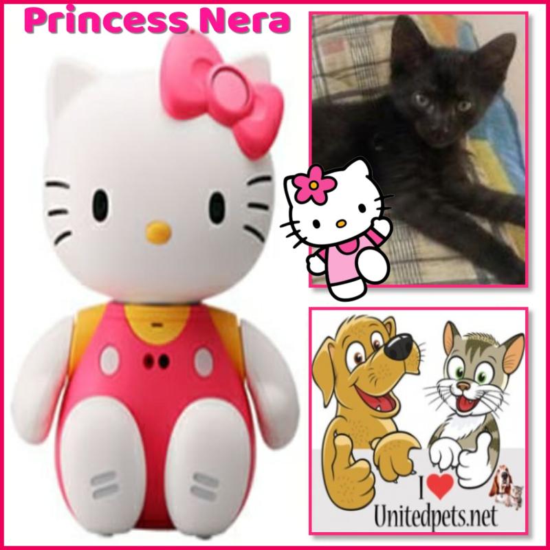Princess Nera of the zoza1958 family