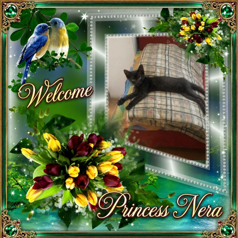 Princess Nera of the zoza1958 family