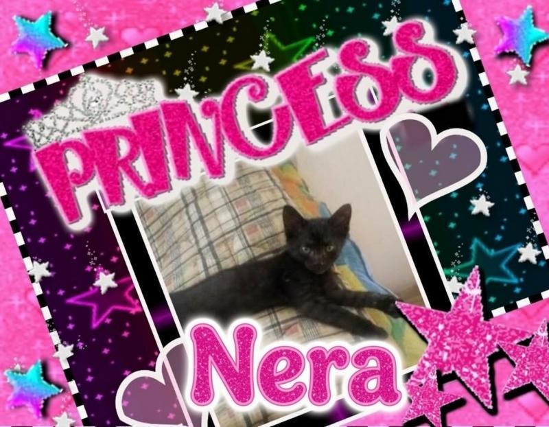 Princess Nera of the zoza1958 family