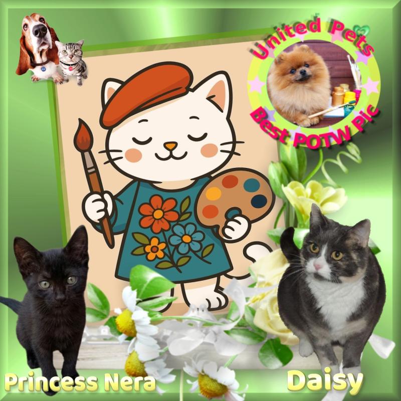 Princess Nera of the zoza1958 family