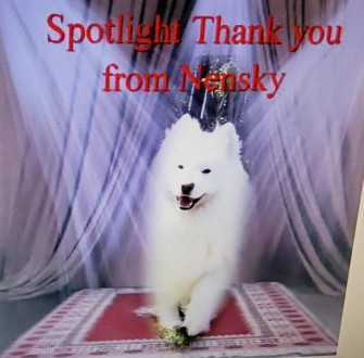 Ada uploaded   52  day/s  ago