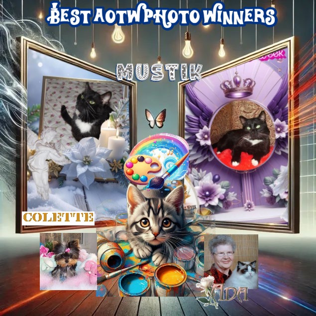 Ada uploaded   98  day/s  ago