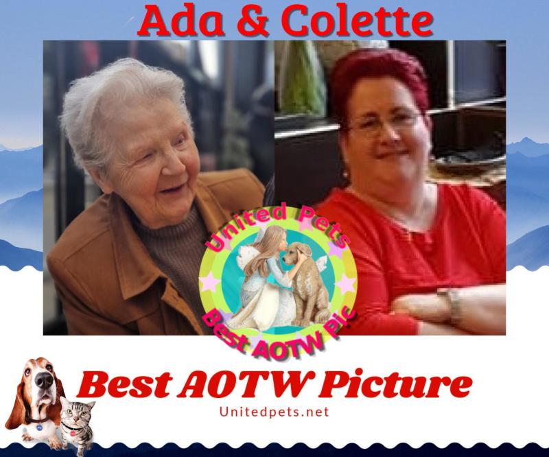 Ada uploaded   97  day/s  ago