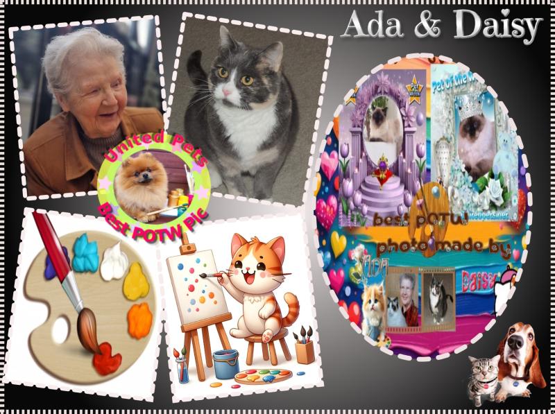 Ada uploaded   77  day/s  ago