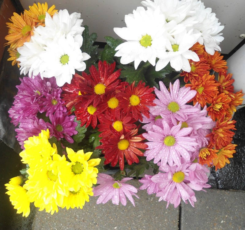 Ada uploaded   269  day/s  ago