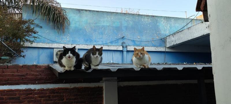 Alejandra uploaded   223  day/s  ago