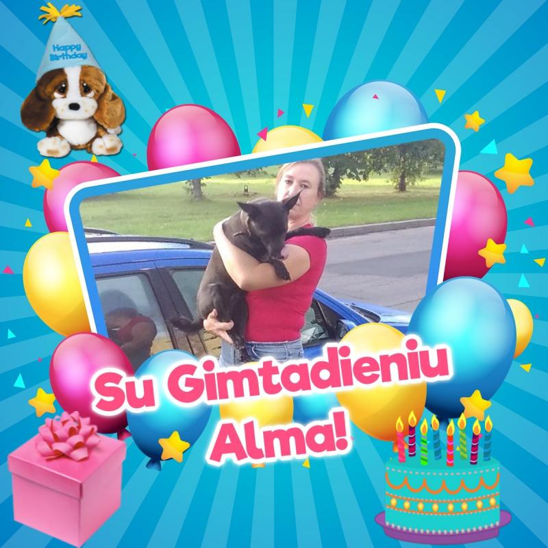 Alma uploaded   2 year/s ago