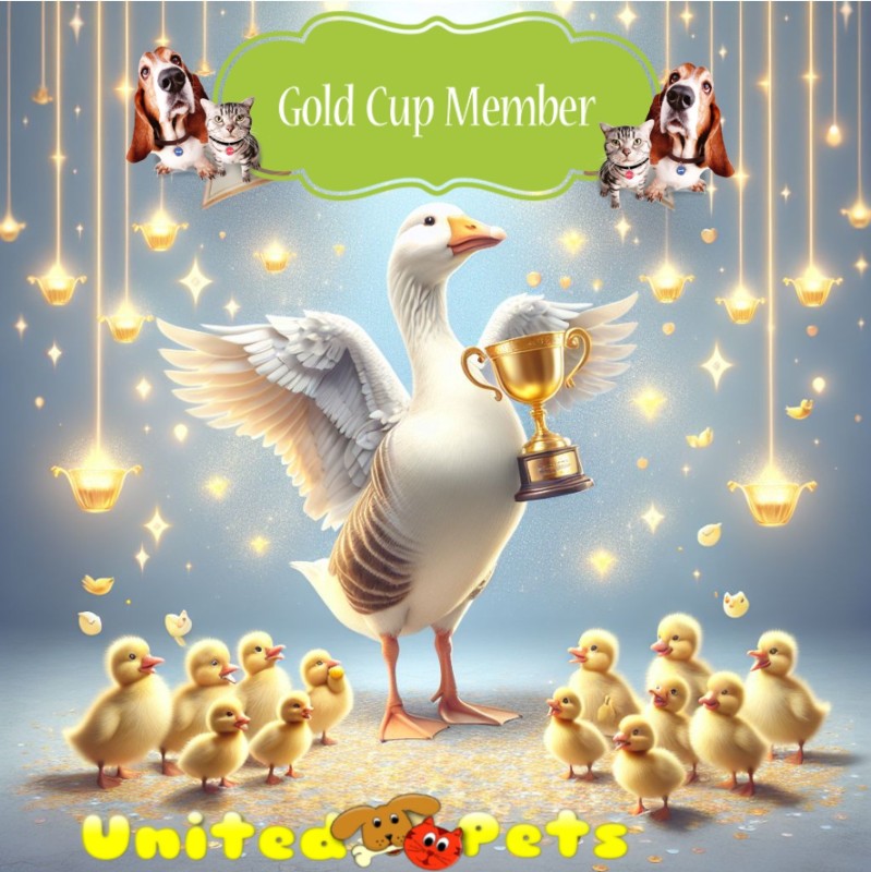 Asiya uploaded   1  day/s  ago