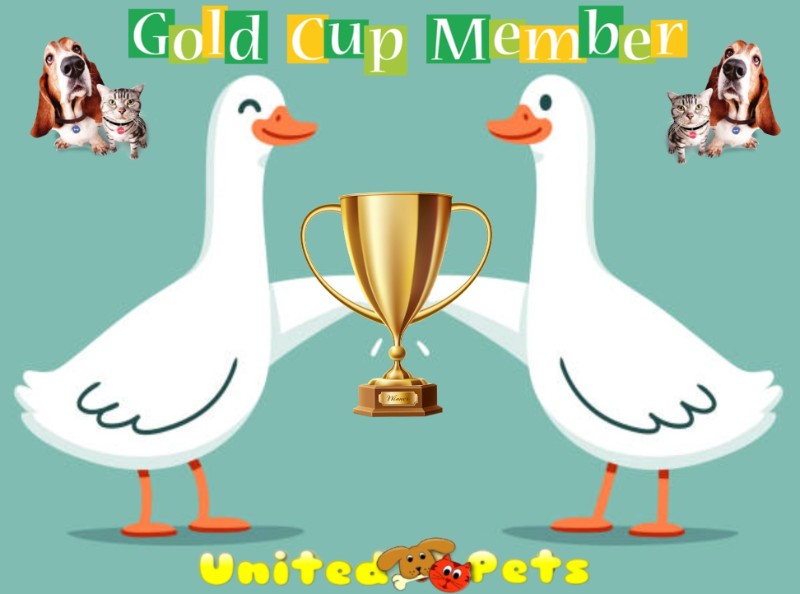 Asiya uploaded   48  day/s  ago