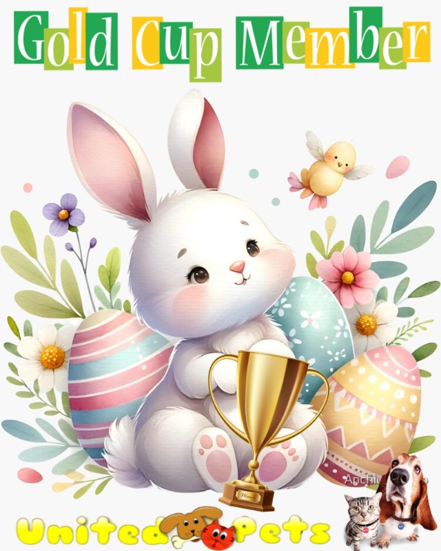 Asiya uploaded   8  day/s  ago