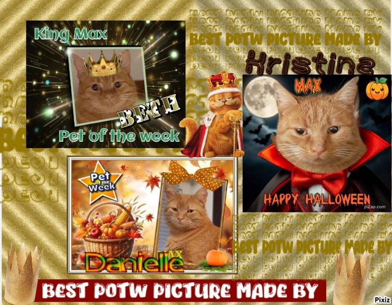 Asiya uploaded   1 year/s ago