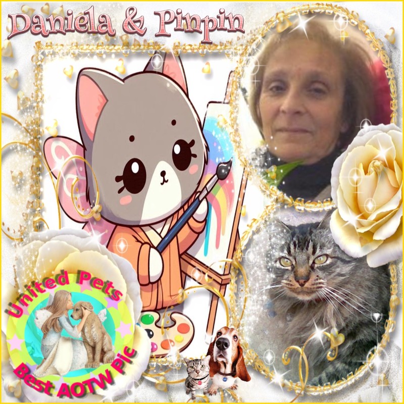 Asiya uploaded   19  day/s  ago