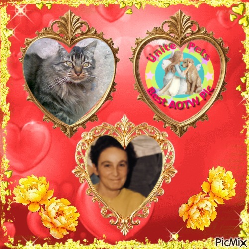 Asiya uploaded   19  day/s  ago