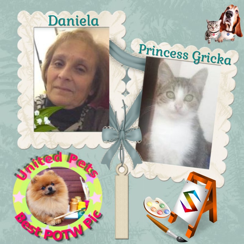 Asiya uploaded   64  day/s  ago