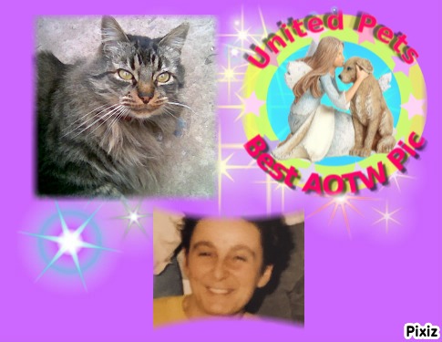 Asiya uploaded   21  day/s  ago