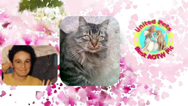 Asiya uploaded   19  day/s  ago