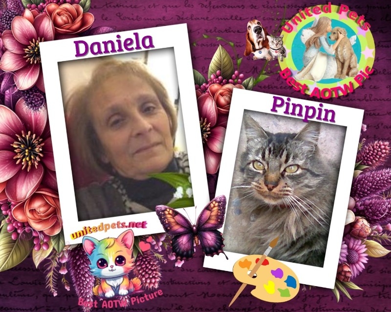 Asiya uploaded   22  day/s  ago