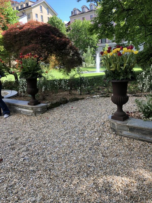 Asiya uploaded   338  day/s  ago