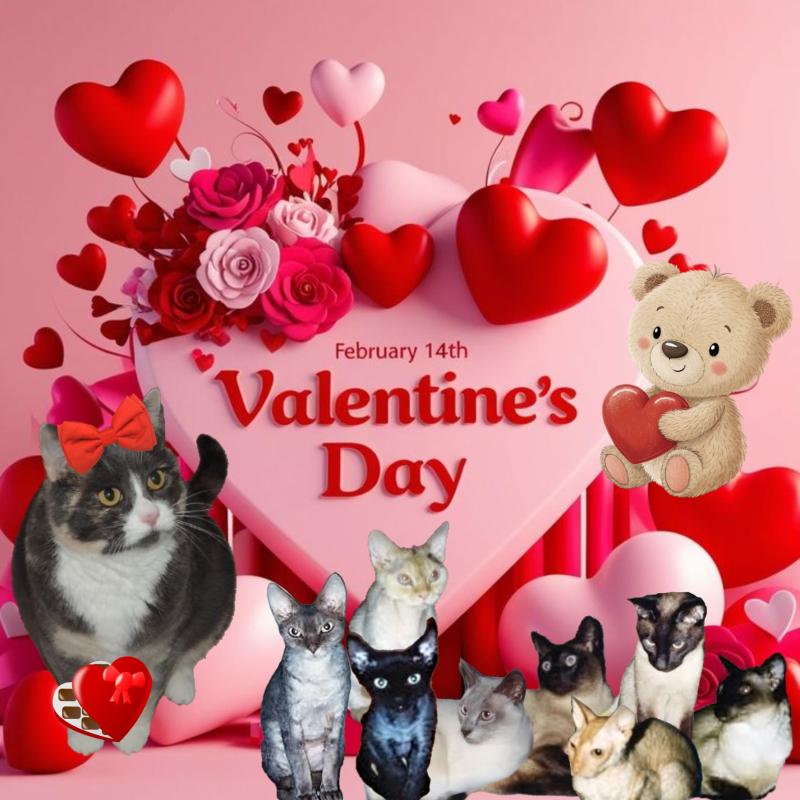 Asiya uploaded   71  day/s  ago