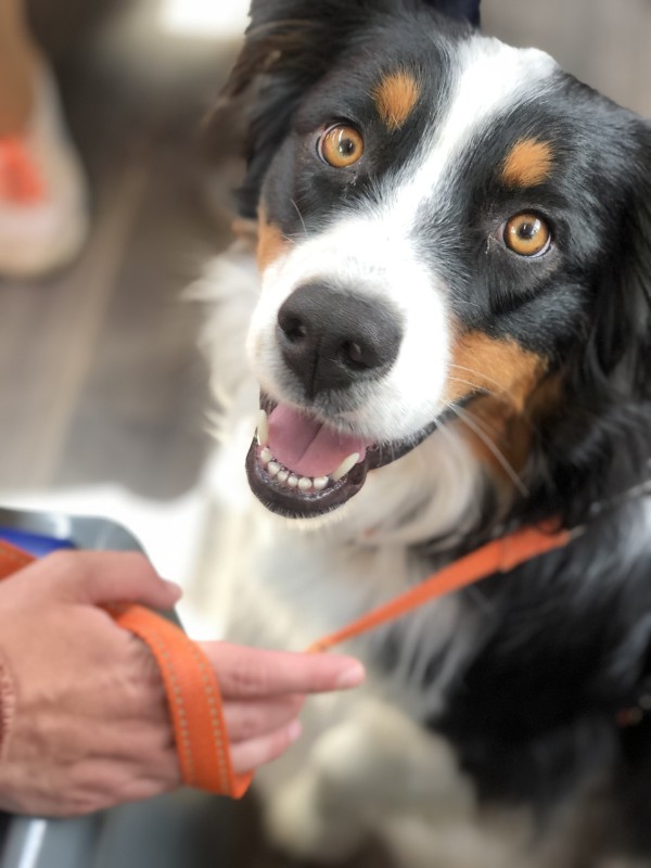 Asiya uploaded   267  day/s  ago