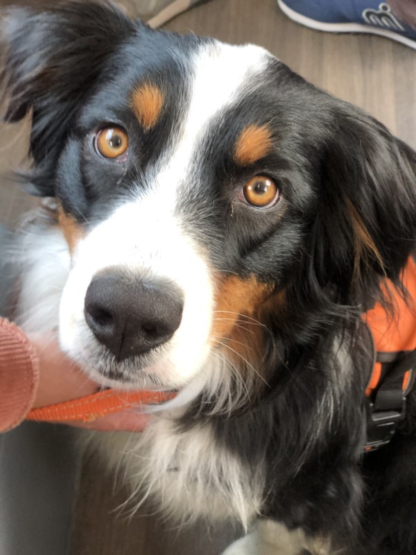 Asiya uploaded   344  day/s  ago