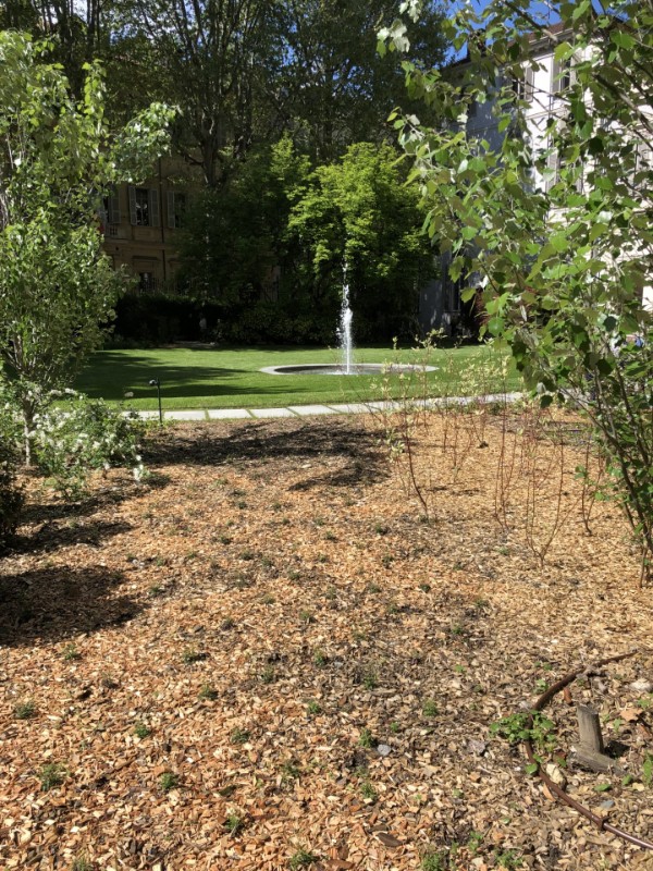 Asiya uploaded   345  day/s  ago