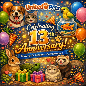 Asiya uploaded   3  day/s  ago