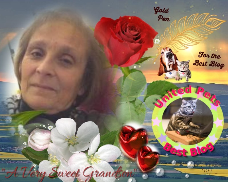 Asiya uploaded   89  day/s  ago