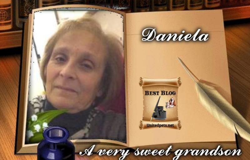 Asiya uploaded   97  day/s  ago