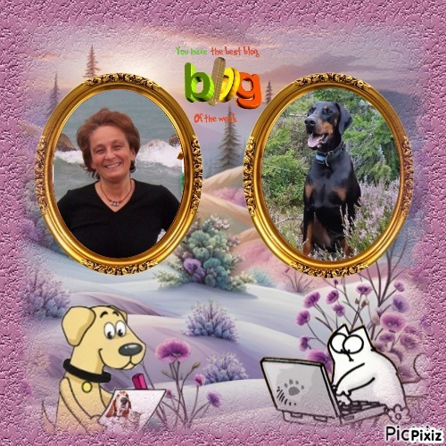 Asiya uploaded   97  day/s  ago