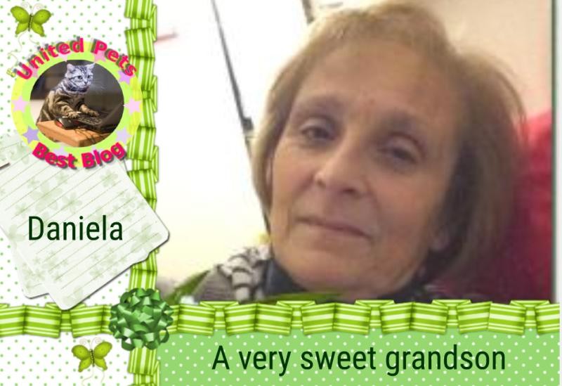 Asiya uploaded   89  day/s  ago