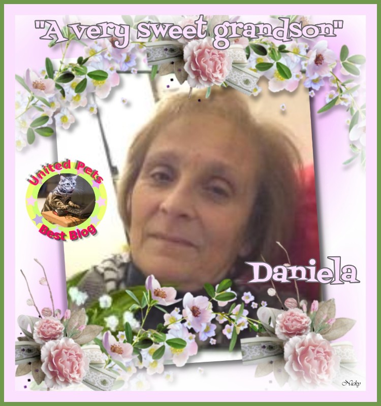 Asiya uploaded   89  day/s  ago