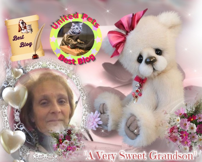 Asiya uploaded   97  day/s  ago