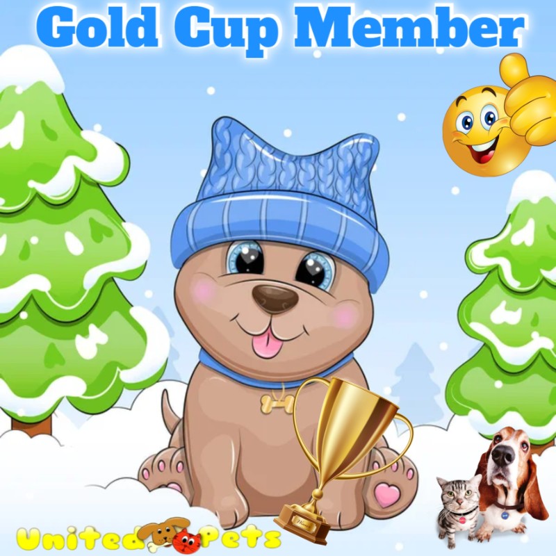 Blanche uploaded   90  day/s  ago