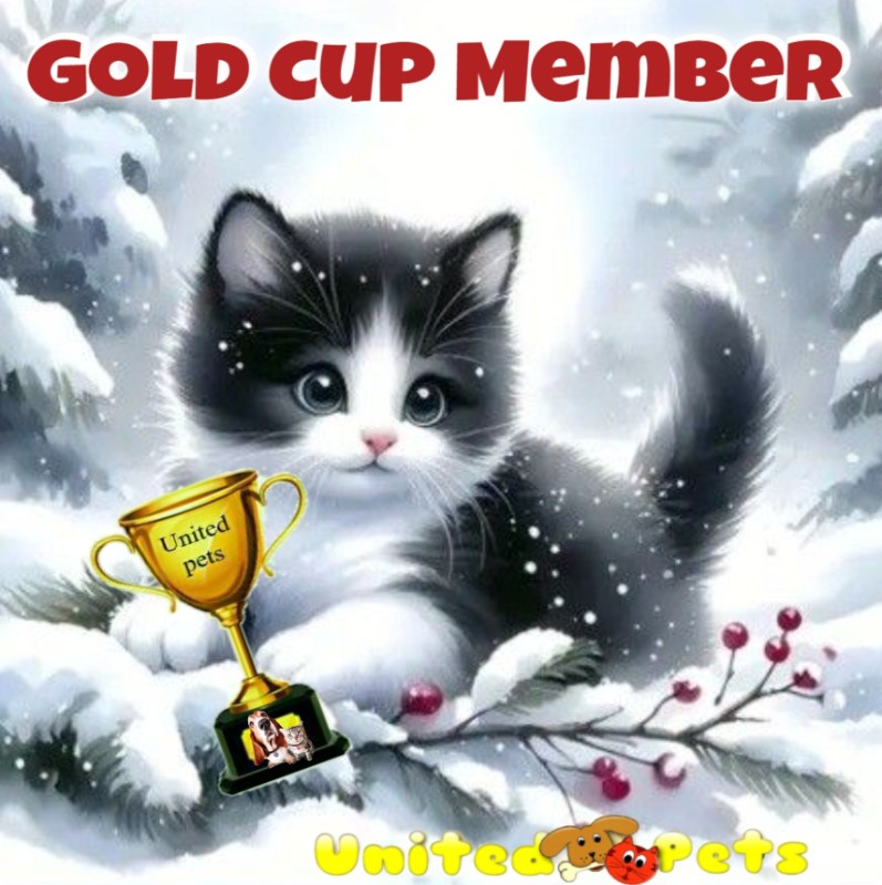 Blanche uploaded   66  day/s  ago