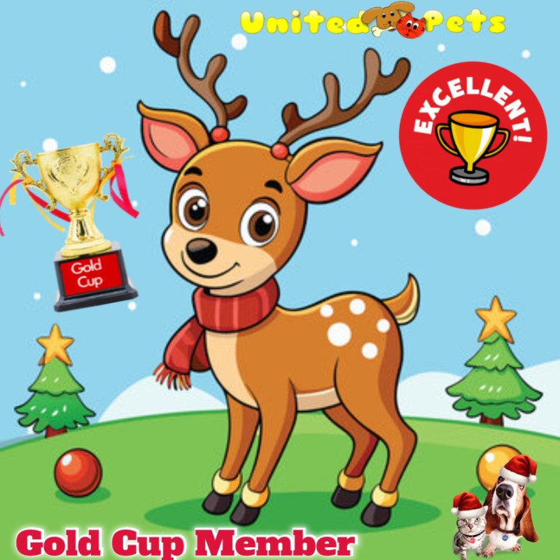 Blanche uploaded   144  day/s  ago
