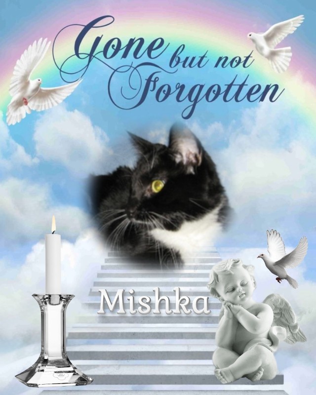 Blanche uploaded   5  day/s  ago