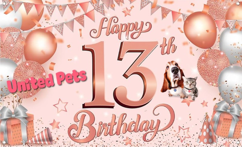 Blanche uploaded   4  day/s  ago