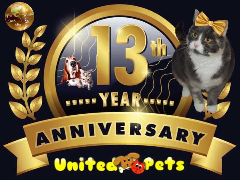 Blanche uploaded   4  day/s  ago