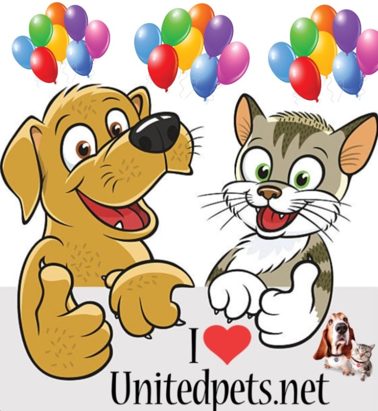 Blanche uploaded   5 hour/s ago