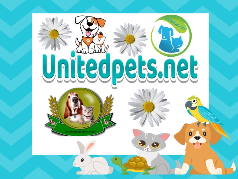 Blanche uploaded   3  day/s  ago