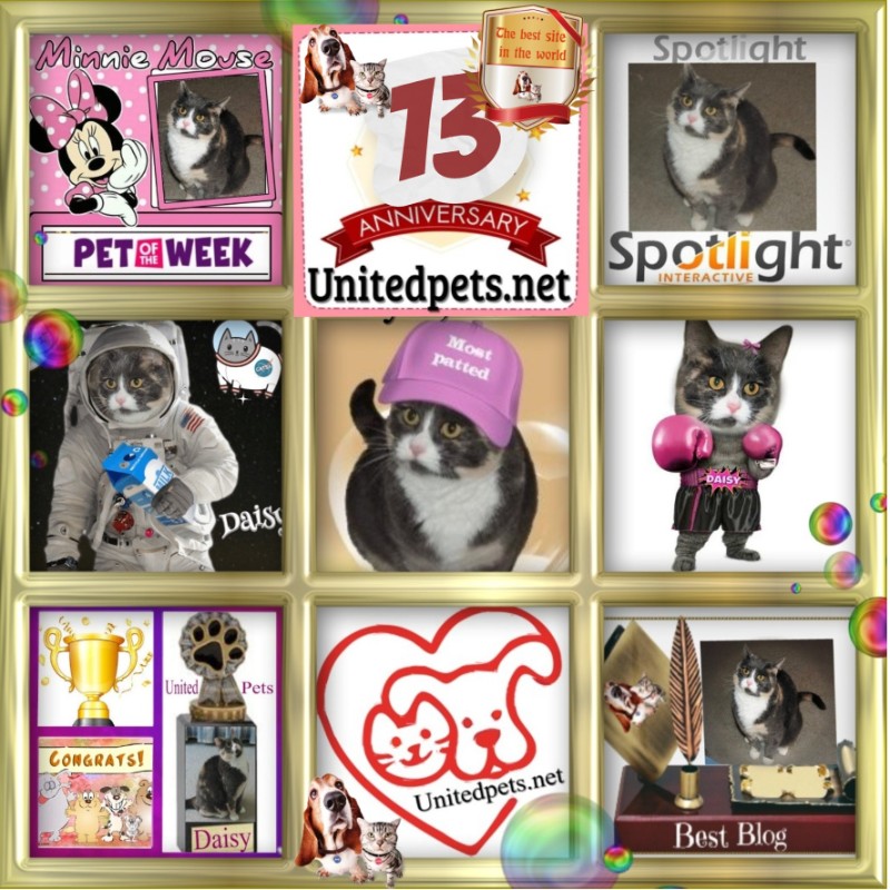 Blanche uploaded   1  day/s  ago