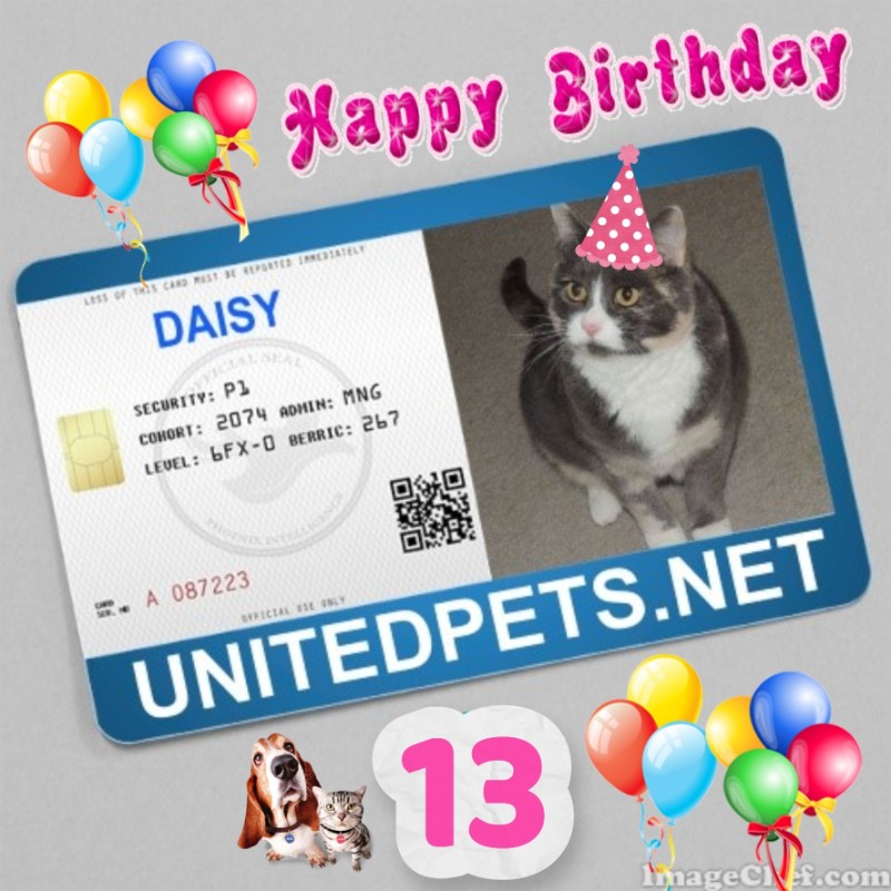 Blanche uploaded   1  day/s  ago