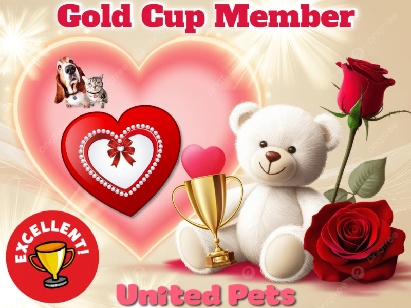 Chance uploaded   74  day/s  ago