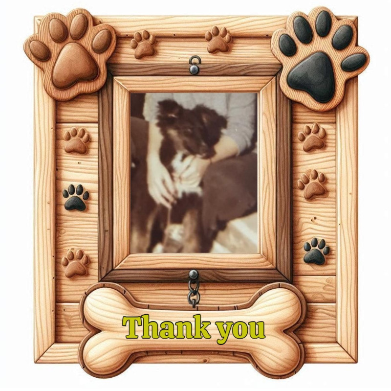 Chance uploaded   254  day/s  ago